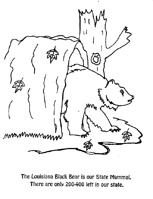 bear-C.gif (14405 bytes)