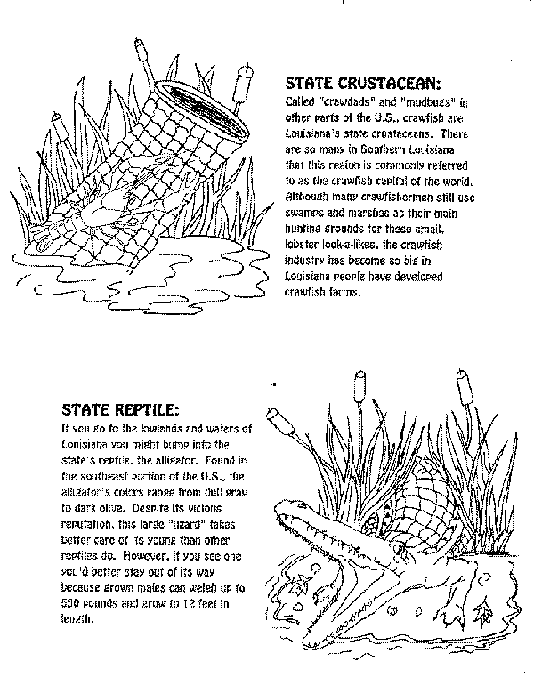 crustacean-a.gif (28918 bytes)