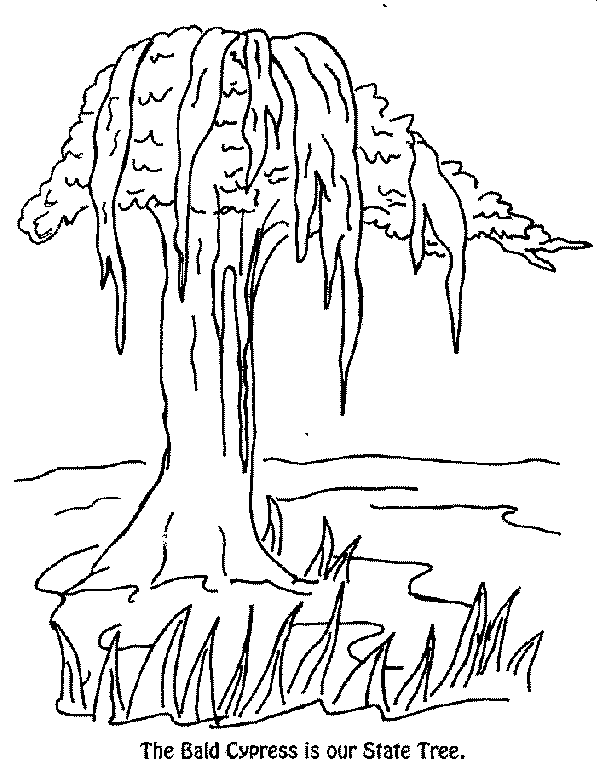 tree-C.gif (20844 bytes)