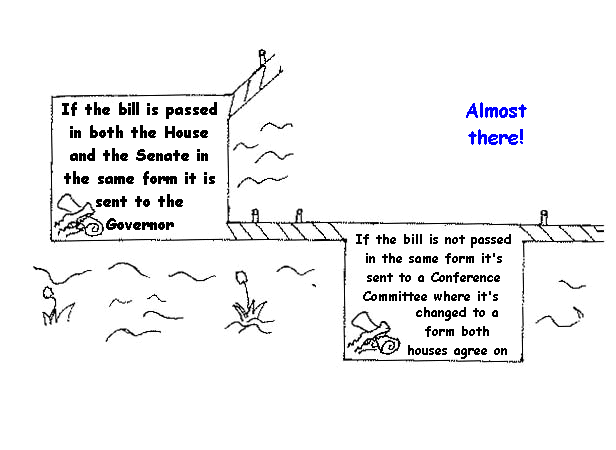 How a Bill Becomes a Law